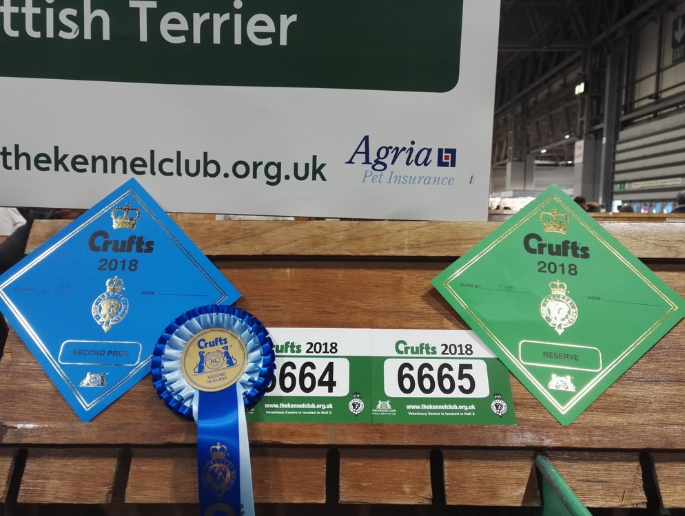 Crufts