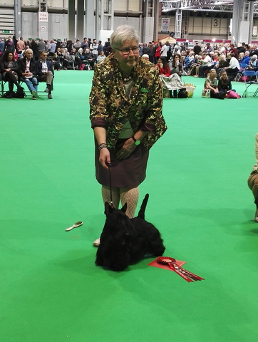 Marland Ultimate Junior Winner Crufts 2019